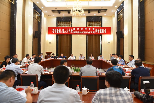 2022-9-6--在镇全国、省人大代表调研-3--压缩.JPG